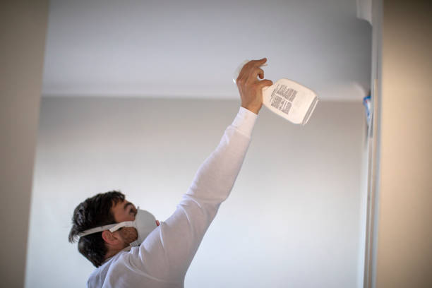 Best Crawl Space Mold Removal  in Massac, KY