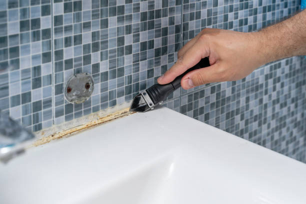 Best Affordable Mold Removal  in Massac, KY